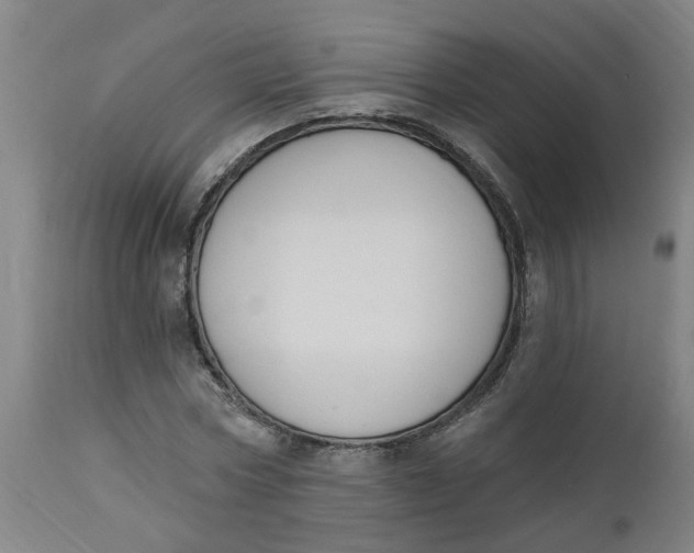 X0000112500778200909071244