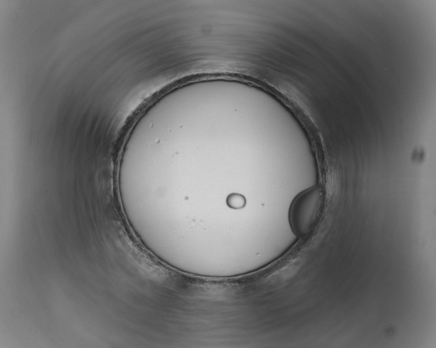 X0000112500781200909071244