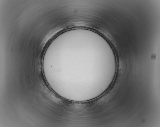 X0000112500782200909071244