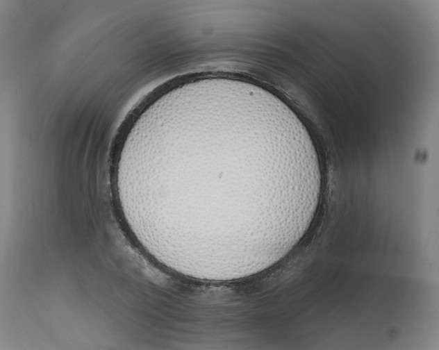 X0000112500784200909071244