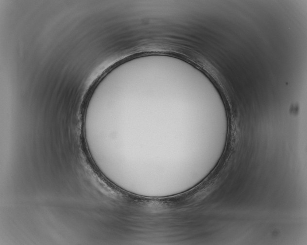 X0000112500787200909071244