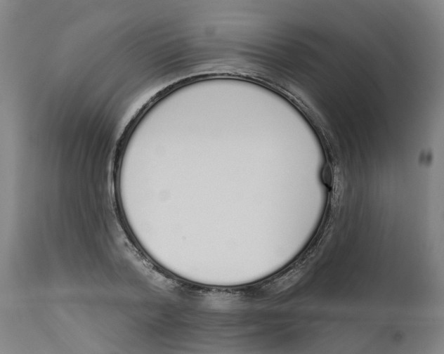 X0000112500788200909071244