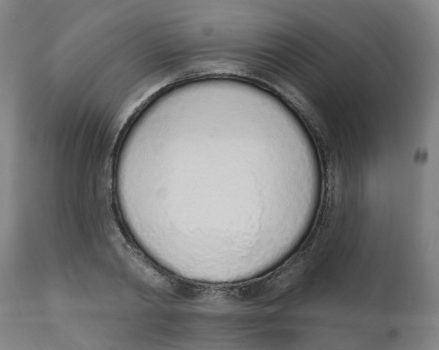 X0000112500790200909071244