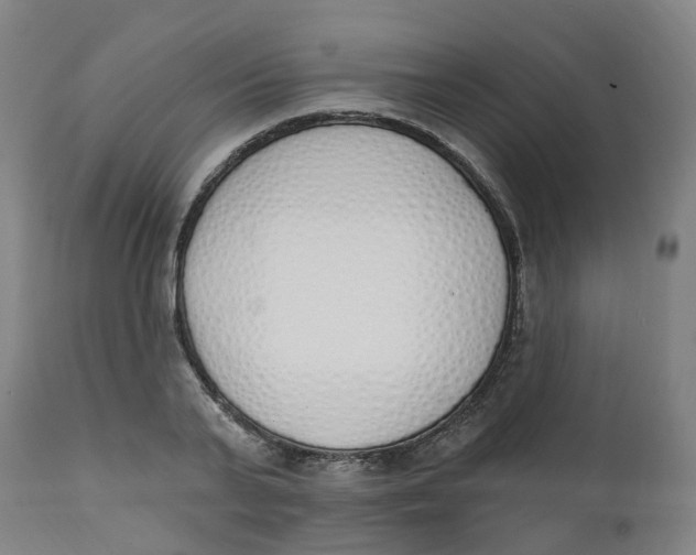 X0000112500791200909071244