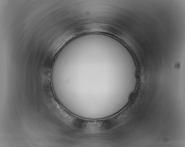 X0000112500793200909071244