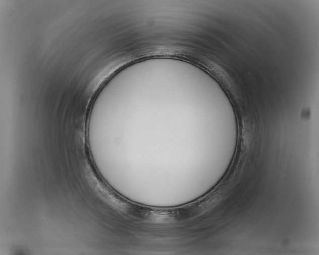 X0000112500794200909071244