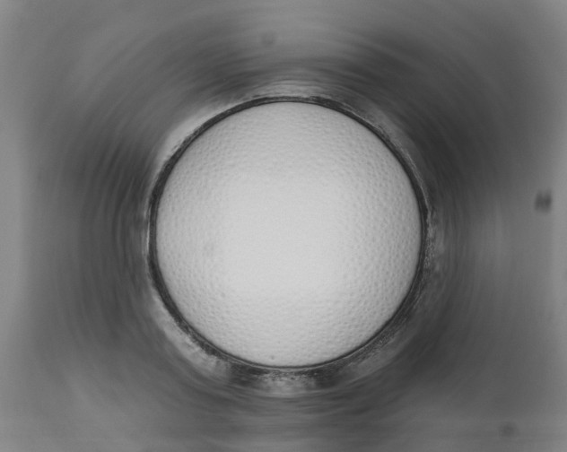 X0000112500795200909071244