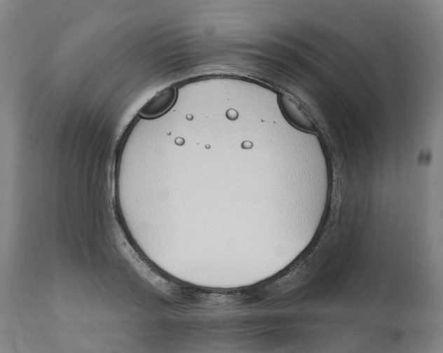 X0000112500796200909071244