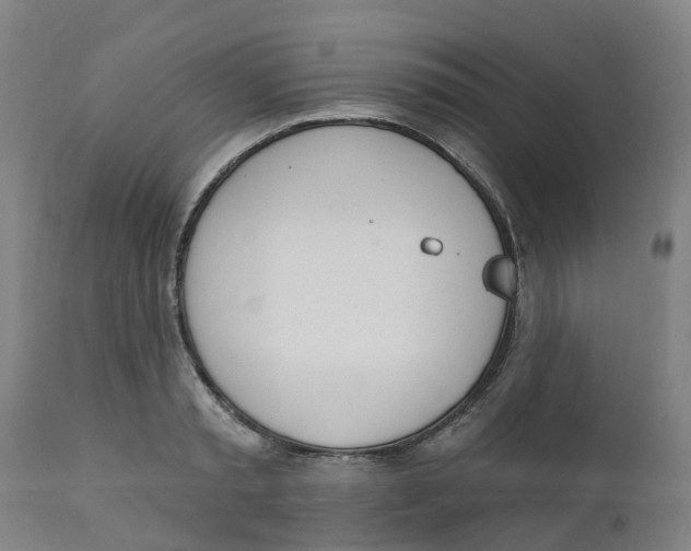 X0000112500797200909071244