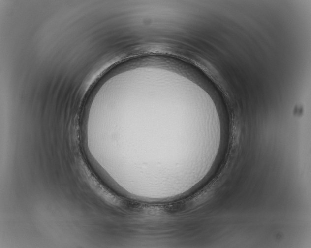 X0000112500798200909071244