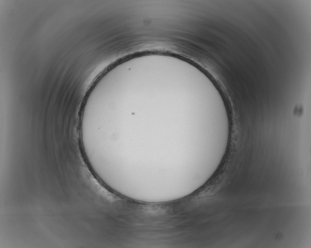 X0000112500799200909071244