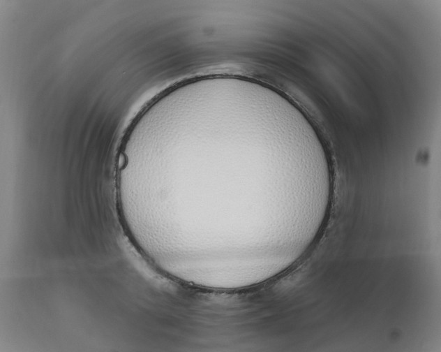 X0000112500800200909071244