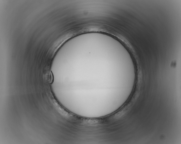 X0000112500801200909071244