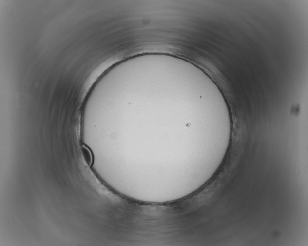 X0000112500804200909071244