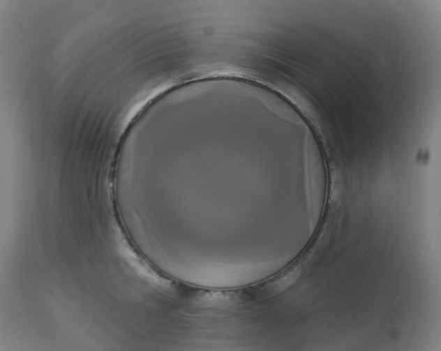 X0000112500806200909071244