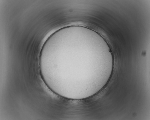 X0000112500808200909071244