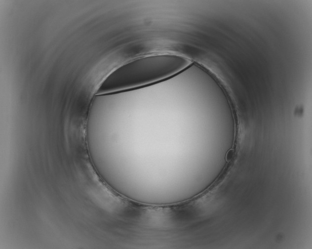 X0000112500809200909071244