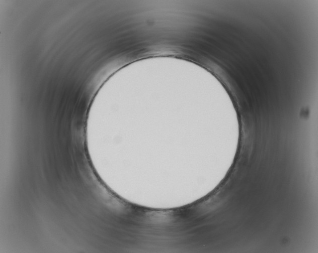 X0000112500810200909071244