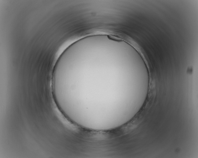 X0000112500811200909071243