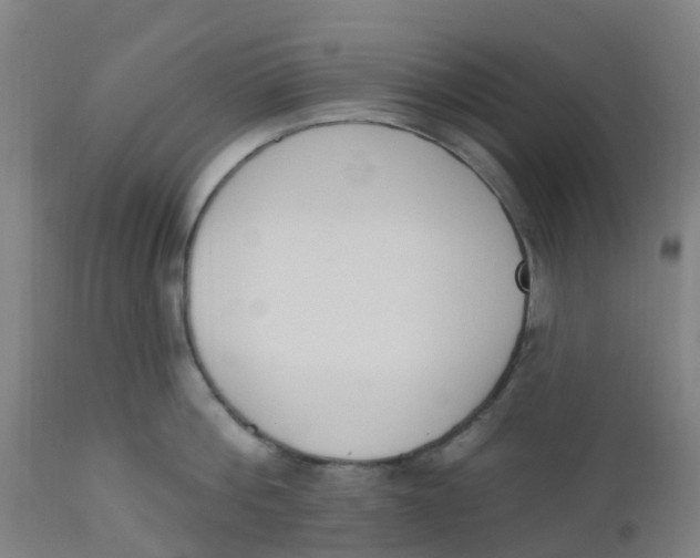 X0000112500812200909071243