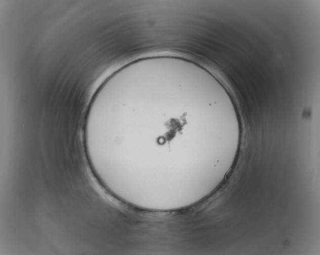 X0000112500813200909071243