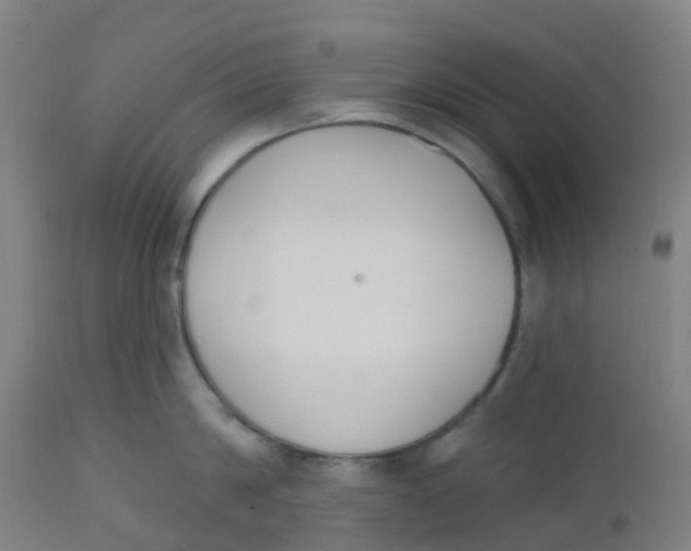 X0000112500814200909071243