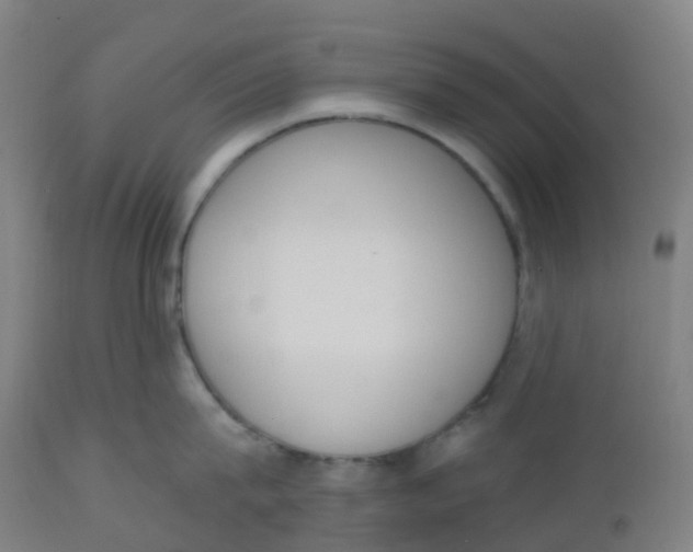 X0000112500815200909071243