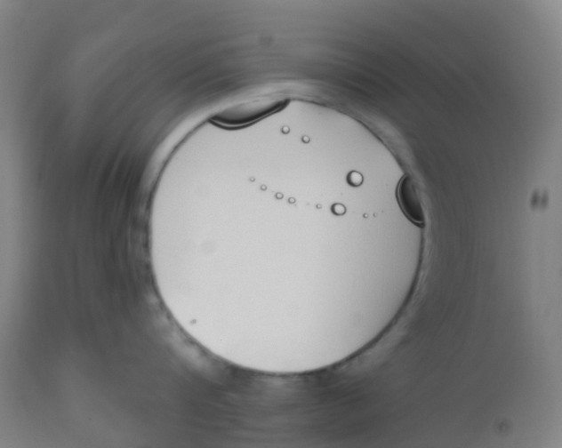 X0000112500816200909071243