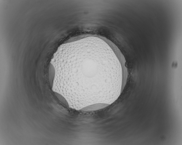 X0000112500817200909071243