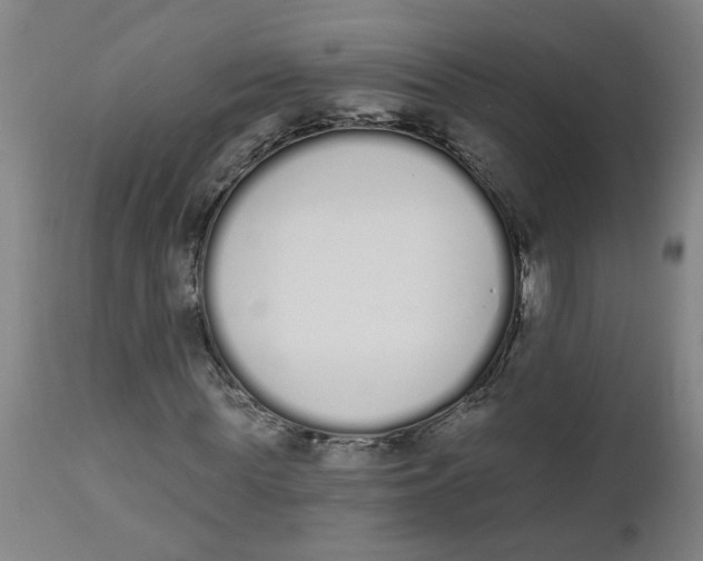 X0000112500819200909071243