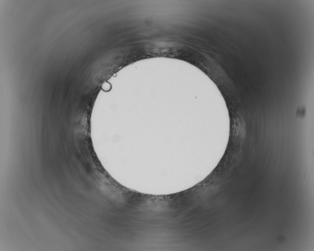 X0000112500820200909071243