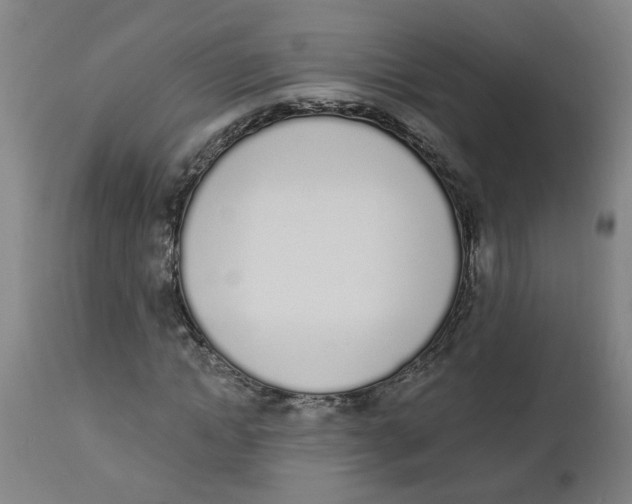 X0000112500822200909071243