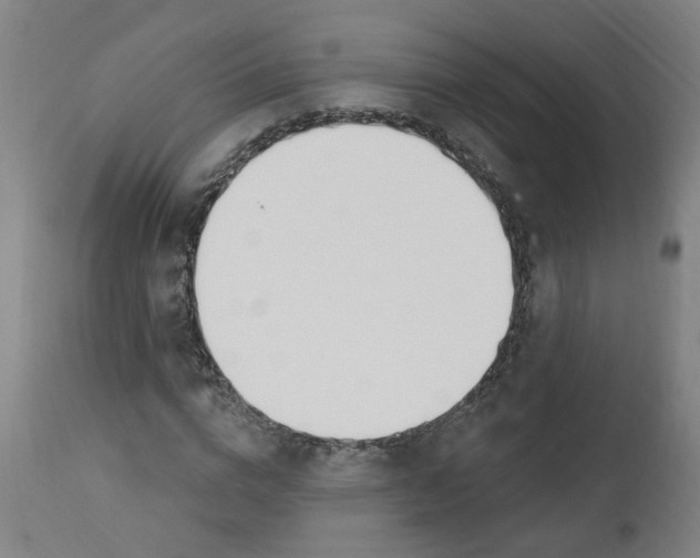 X0000112500824200909071243