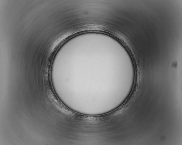 X0000112500827200909071243