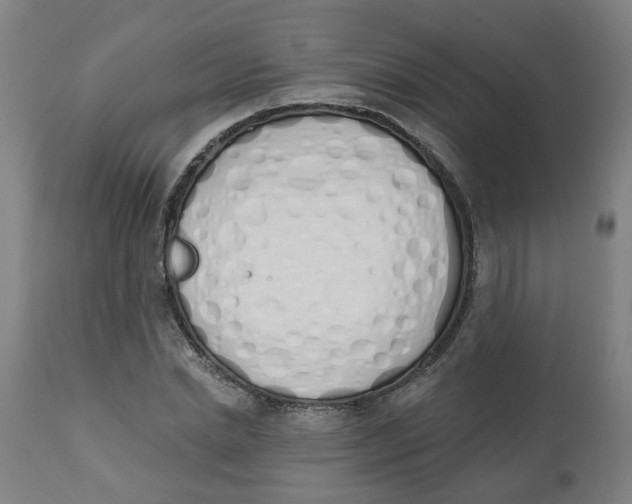 X0000112500830200909071243