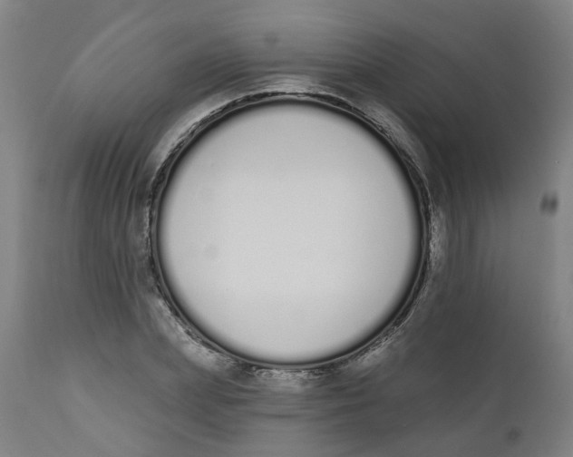 X0000112500831200909071243