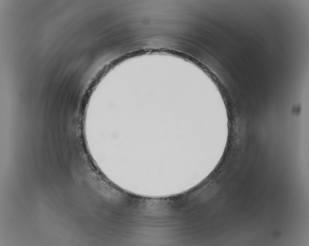 X0000112500832200909071243