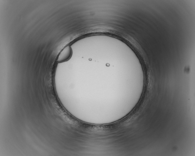 X0000112500834200909071243