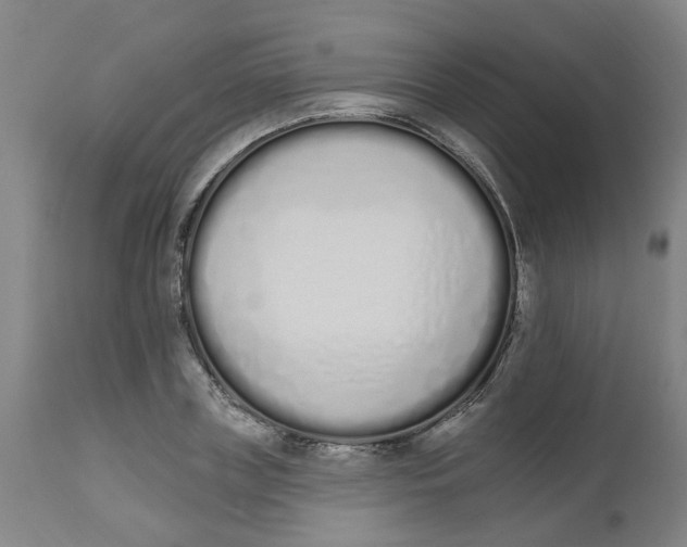 X0000112500835200909071243