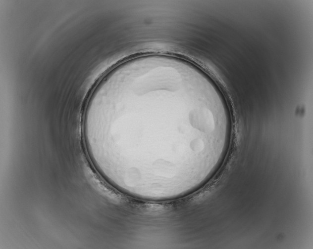 X0000112500839200909071243