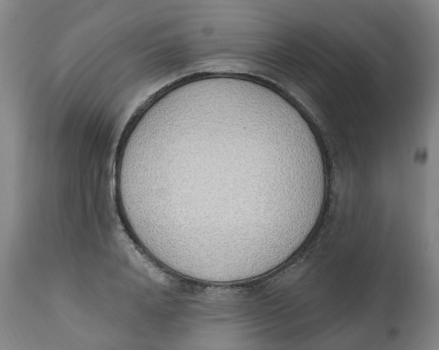 X0000112500840200909071243