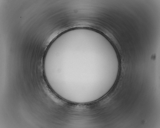 X0000112500842200909071243