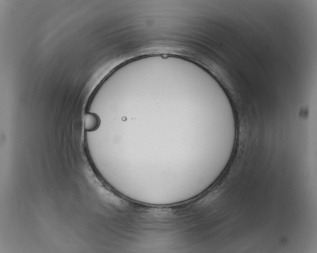 X0000112500844200909071243