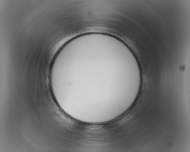 X0000112500846200909071243