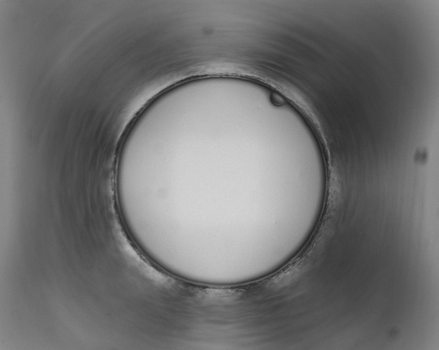 X0000112500847200909071243