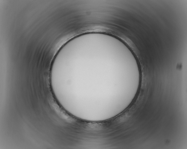 X0000112500850200909071243