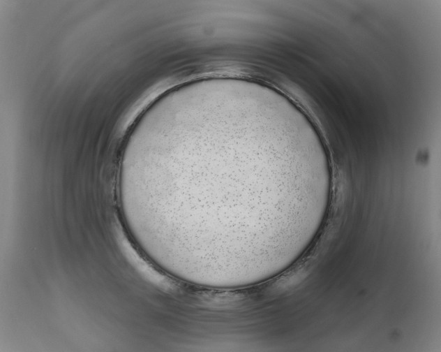 X0000112500851200909071243