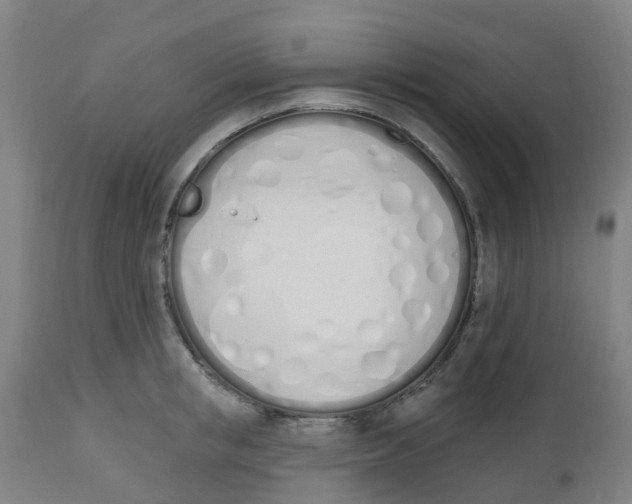 X0000112500853200909071243