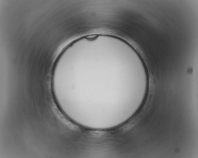 X0000112500854200909071243