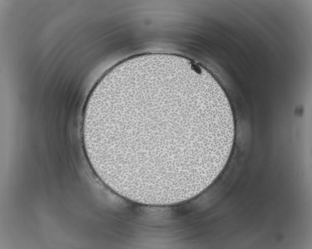 X0000112500856200909071243